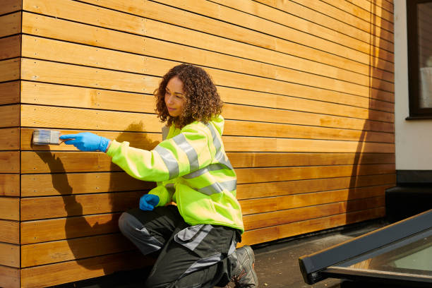 Best Stucco Siding  in Mount Carmel, IL